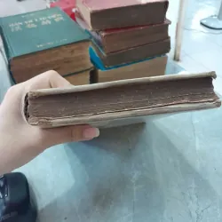 BILLY BUDD - ĐOẢN THIÊN MỸ 778544