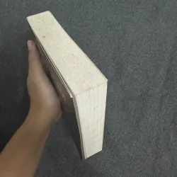 Chuộc tội - Ian McEwan 753153