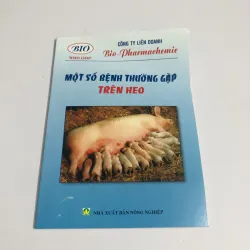 MỘT SỐ BỆNH THƯỜNG GẶP TRÊN HEO