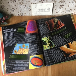 Sách tranh Inside You: How Your Body Makes It Through Every Day, Used, còn CD 442994