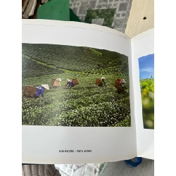 Hải âu 30 tuổi 752033