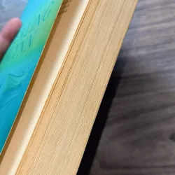 Healing Flynn -
Juliette Mead (preloved books) 722903