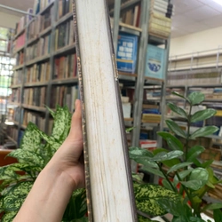 AN NAM CHÍ LƯỢC - LÊ TẮC 535654