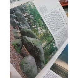 Les pays-bas: Regards sur l'europe 557372