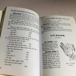 TỰ CHỮA BỆNH BẰNG CÂY THUỐC NAM THÔNG DỤNG DỄ TÌM  548747