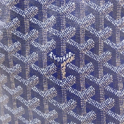 Túi Goyard Saint Louis AMA LOUIS PM - Hàng hiệu Chính hãng 765034