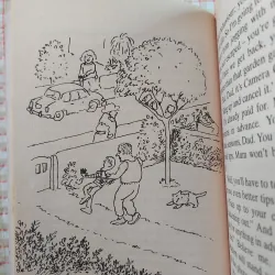 RUMPUS ON THE ROOF - Hazel Townson Minh họa: David McKee 750332