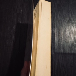 Sự bất tử - Milan Kundera 461093