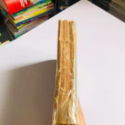  GIẢNG VĂN LỚP 11 – TRẦN BẰNG PHONG 557924