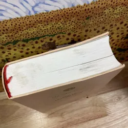 Bìa Cứng - Nhật Ký Chu Cẩm Phong (Nhật Ký Chiến Tranh) 1008596