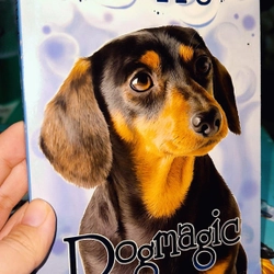 Dogmagic - Holly Web