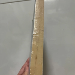 NGƯỜI PHỤ NỮ GIÀU 447503