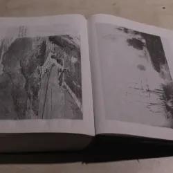 Nguyễn Tri Phương 971815