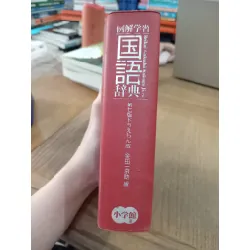 Reikai Gakushu Kokugo Jiten 603047