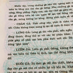 NGHỆ THUẬT NUÔI GÀ NÒI 447871