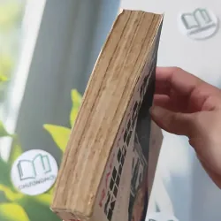 [XƯA] Sự Lừa Dối Kinh Khủng - 25 năm tôi làm việc ở CIA (1988) - Ráp Mắc Ghi 997772