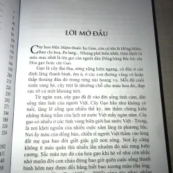 Hoa mộc miên 778540