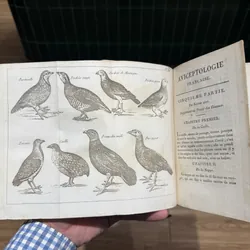 Bách khoa toàn thư về chim- sách Pháp 203 năm  675436