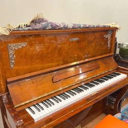 Piano V.Marktone màu như hình đang sử dụng 323800