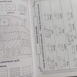 Developing Numeracy: 1008523