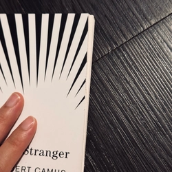 The Stranger (Người Xa Lạ)  532091