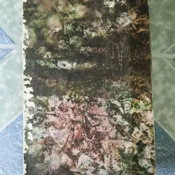 chiến tranh và hòa bình ( tập 1) - Leon Tolstoi 705051