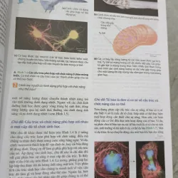 SINH HỌC - TRẦN HẢI NAM 786042