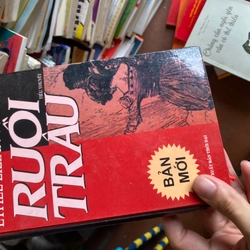 Sách ruồi trâu bìa cứng