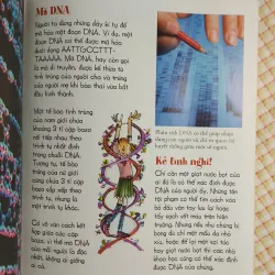 BỘ NÃO VÀ MÁY TÍNH - ĐỂ EM YÊU MÔN TOÁN 782531