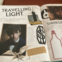 PICTURE BOOK Fantastic beasts A cinematic yearbook 536224