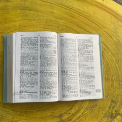 TỪ ĐIỂN VIỆT - ANH VIETNAMESE- ENGLISH DICTIONARY  1037215