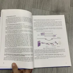 Kháng thể đơn dòng và phân tử nhỏ trong điều trị bệnh ung thư. 8a3 655247