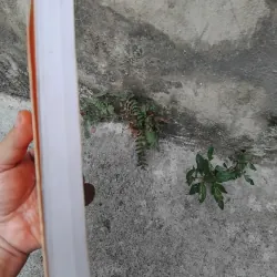 Quả đất quê hương của Edgar Morin và Anne Brigitte Kem  1026214