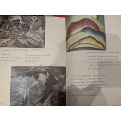 The Beauty of America 712437