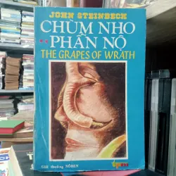 Chùm nho phẫn nộ tập 2 📚