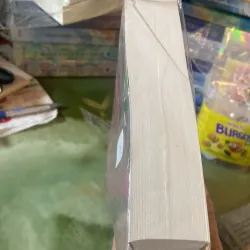 Hoa hồng sớm mai  1006947