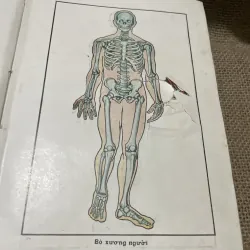 Sức khỏe chị nam- sách y trước 75-  800213