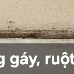 KỊCH - Maxim Gorky (ba vở) - Dịch giả: Hồng Phi - NXB Văn học 1978 705207