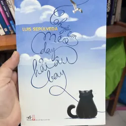 Con mèo dạy hải âu bay