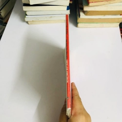 THẾ CHIẾN ĐẤU MÔN PHÁI THIẾU LÂM VỊNH XUÂN  542161