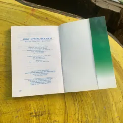 COMBO BONSAI Cây dáng, thế và Non bộ  775779