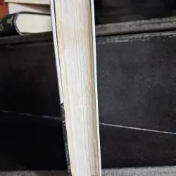 Tiếng chim hót trong  1000602