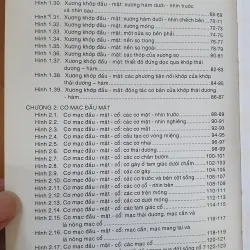 GIẢI PHẪU ĐẦU MẶT CO 752816