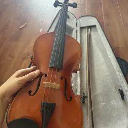 Đàn vĩ cầm 936577