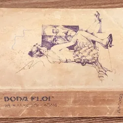 Tác phẩm VH Mỹ Latinh: DONA FLOR VÀ HAI NGƯỜI CHỒNG (Jorge Amado) 961313