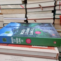 Người lữ hành lặng lẽ, Hữu Mai 416453