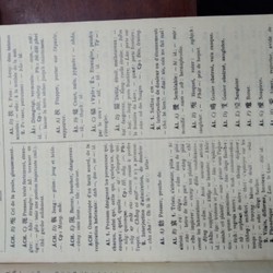 TỬ ĐIỂN VIỆT HOA PHÁP 196671