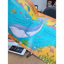 Could a Whale swim to the moon and other questions - Aleksei Bitskoff, Camilla de la Bédoyère 995419