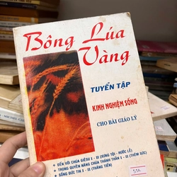 Bông lúa vàng - tuyển tập kinh nghiệm sống cho bài giáo lý