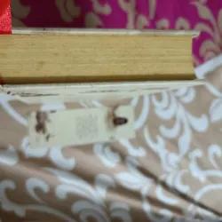 Gặp lại chốn hồng trần sâu nhất - Bạch Lạc Mai ( bìa cứng ) 991216